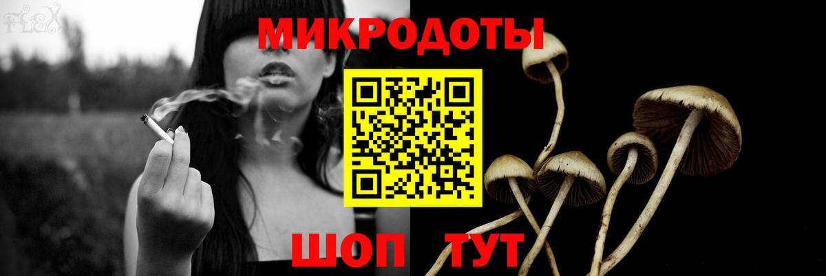 Псилоцибиновые грибы прущие грибы  закладки  Тосно  Вход с VPN 