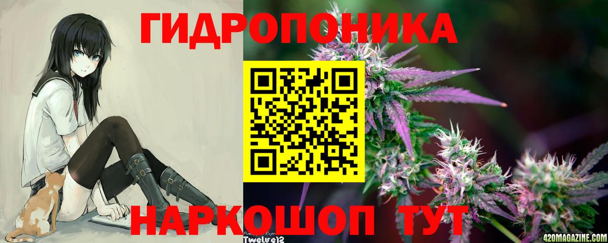 Бошки марихуана Bruce Banner  МАРИХУАНА конопля  Тосно  Вход с VPN  Марихуана THC 21% 